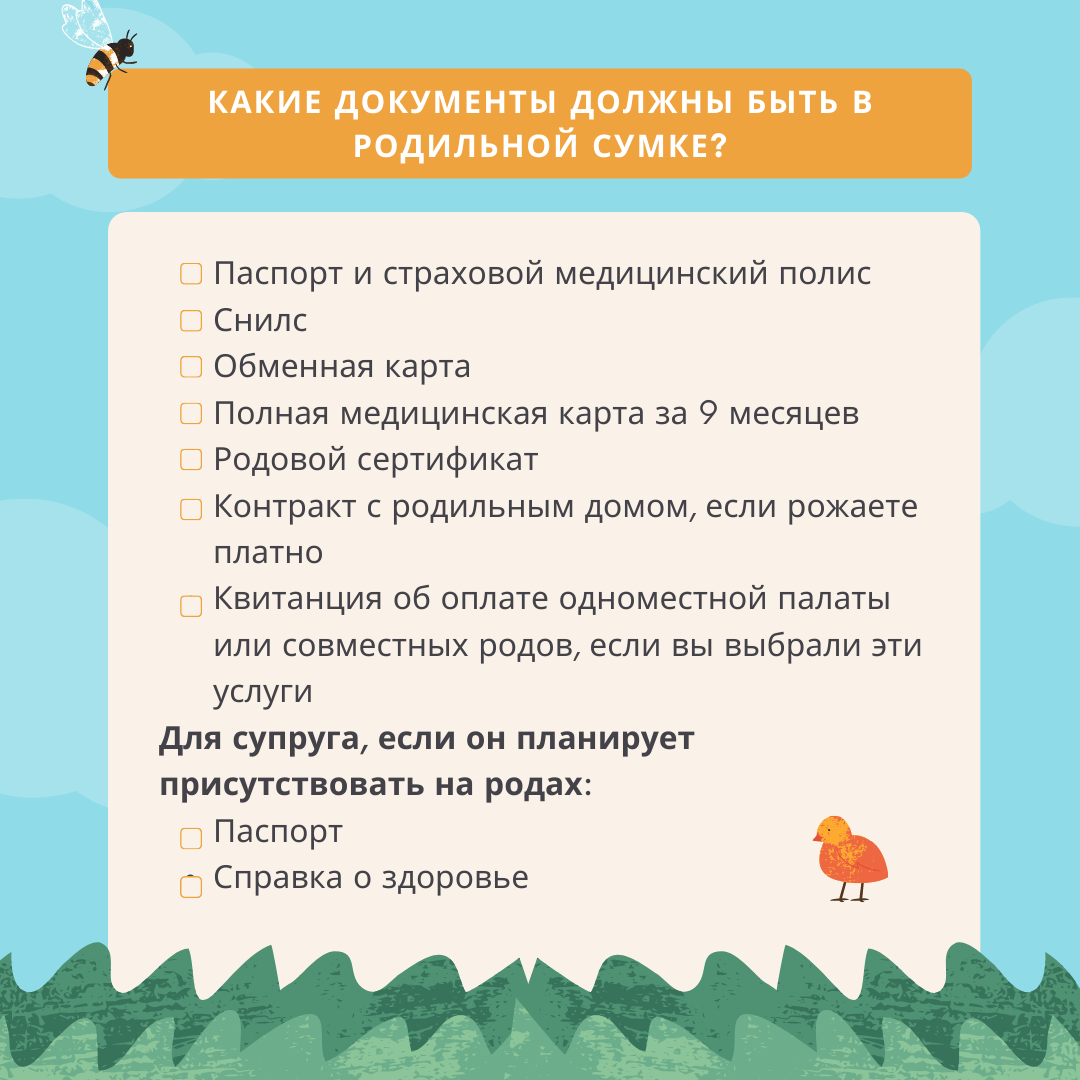 Сумка в роддом для мамы и малыша от магазина Чита.Дети в Забайкалье - Чита .дети